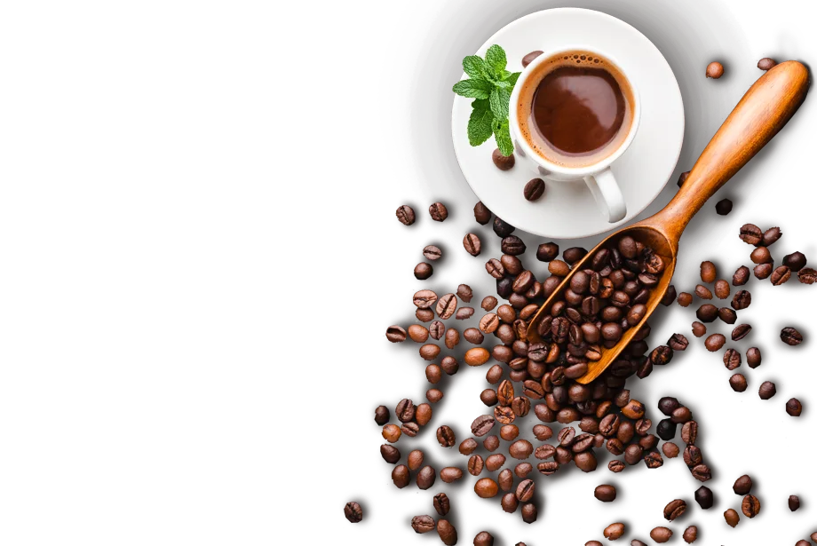 Встраиваемая кофемашина HIBERG PROFF-KP Ice с эмоцией