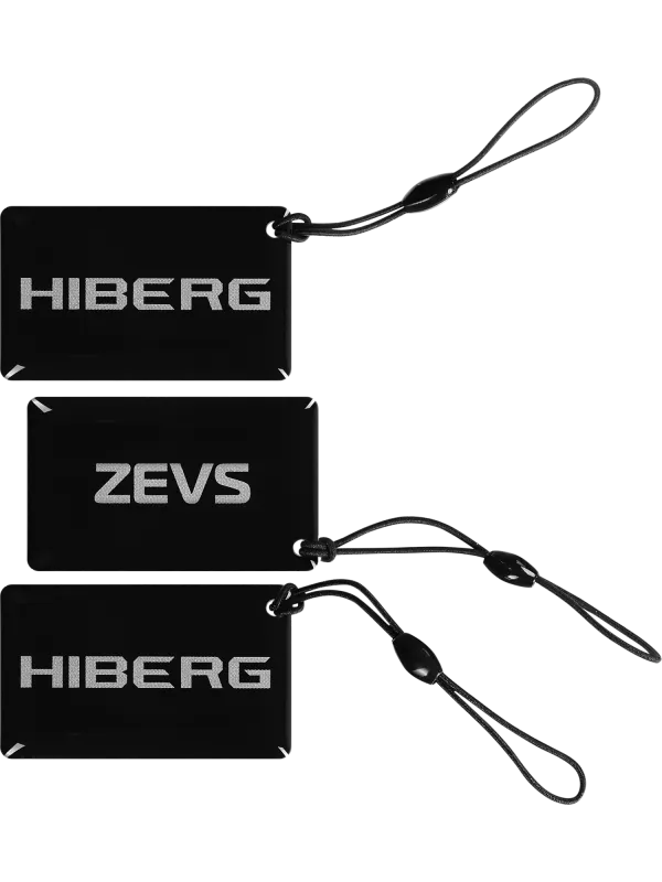 Умный замок HIBERG ZEVS