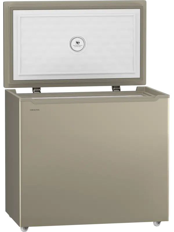 Морозильник HIBERG PF 25 NFG