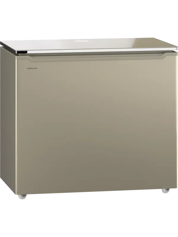 Морозильник HIBERG PF 25 NFG