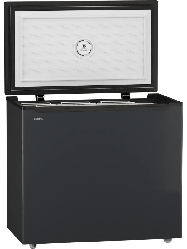 Морозильник HIBERG PF 25 NFXd